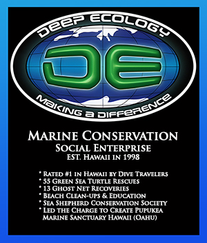Deep Ecology logo