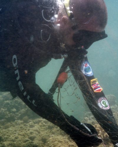 Pillar 1 image 4